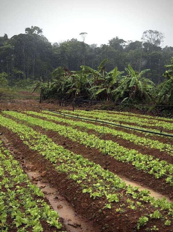 Visite en Guyane