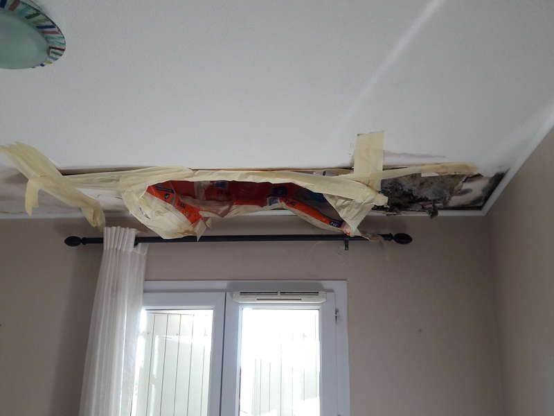 20181024_12154820200921-182727-10ozwk7