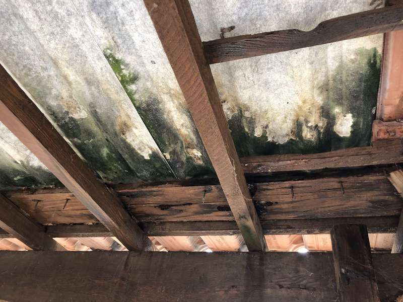 yoaqx9qhqoisywykffkkuw20200921-182727-wgx9kt