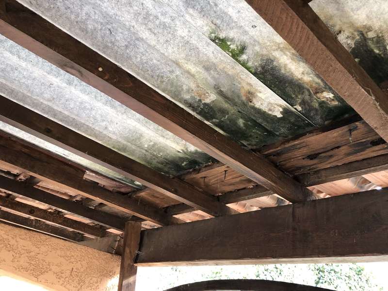 alvspyo0txu1jh9gvxxmxa20200921-182727-k8sg21