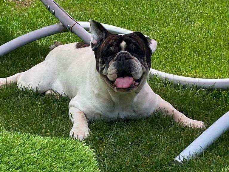 014bc4e8-c2e1-451a-ae62-b3d6e743b629