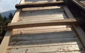 mini_image2a1647_120190807-3918355-13uok5y