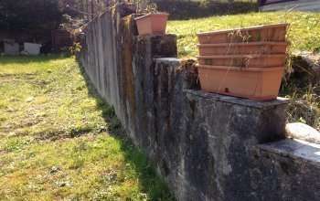 mini_image3a1647__1_20190807-3918355-180o781