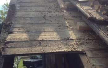 mini_image3a1647_120190807-3918355-de9kbs