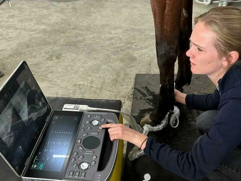 Echographie