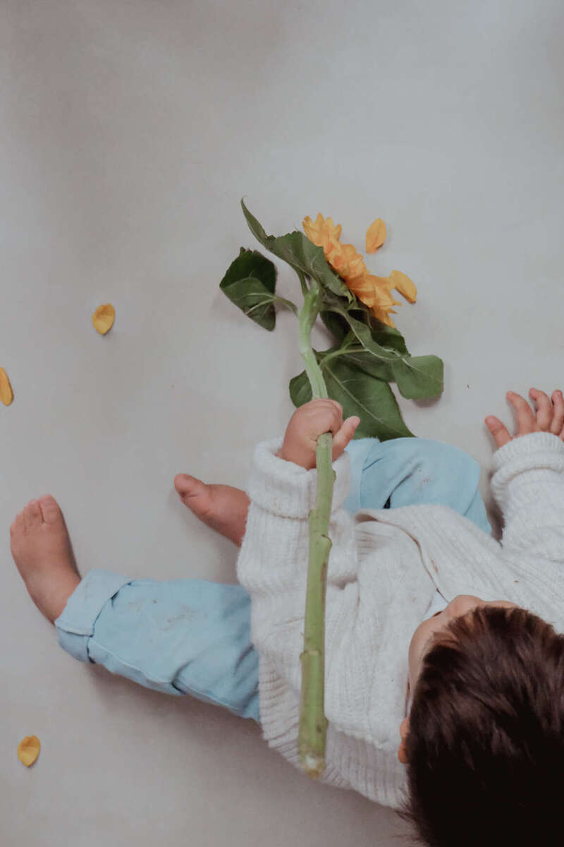 6931b152-e3b1-49ed-88cb-db00f1a0bfef-10425-000002f215eff719