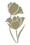 fleurs