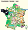 Découvrez les spécialités fromagères de chaque région de France