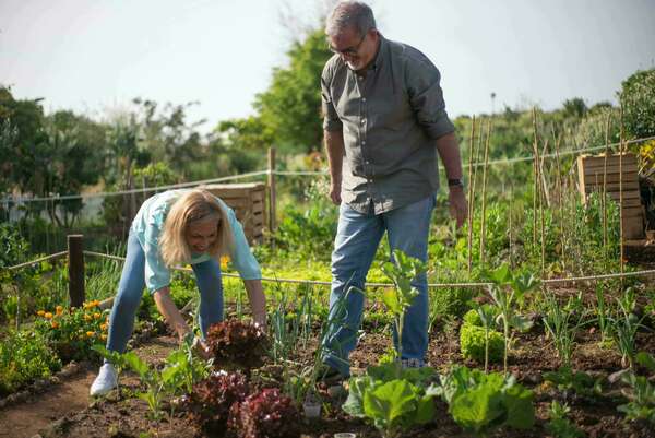 Jardinage et Chiropraxie : cultiver son jardin, pas les douleurs