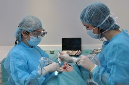 q8qiuvzdh5_1598413261