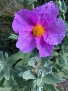 1f5d05f8-3743-4e42-94ef-20ada1e9250c_4_5005_c