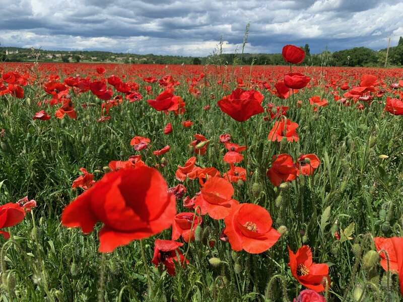 img_569020241220-2023189-15zd6un