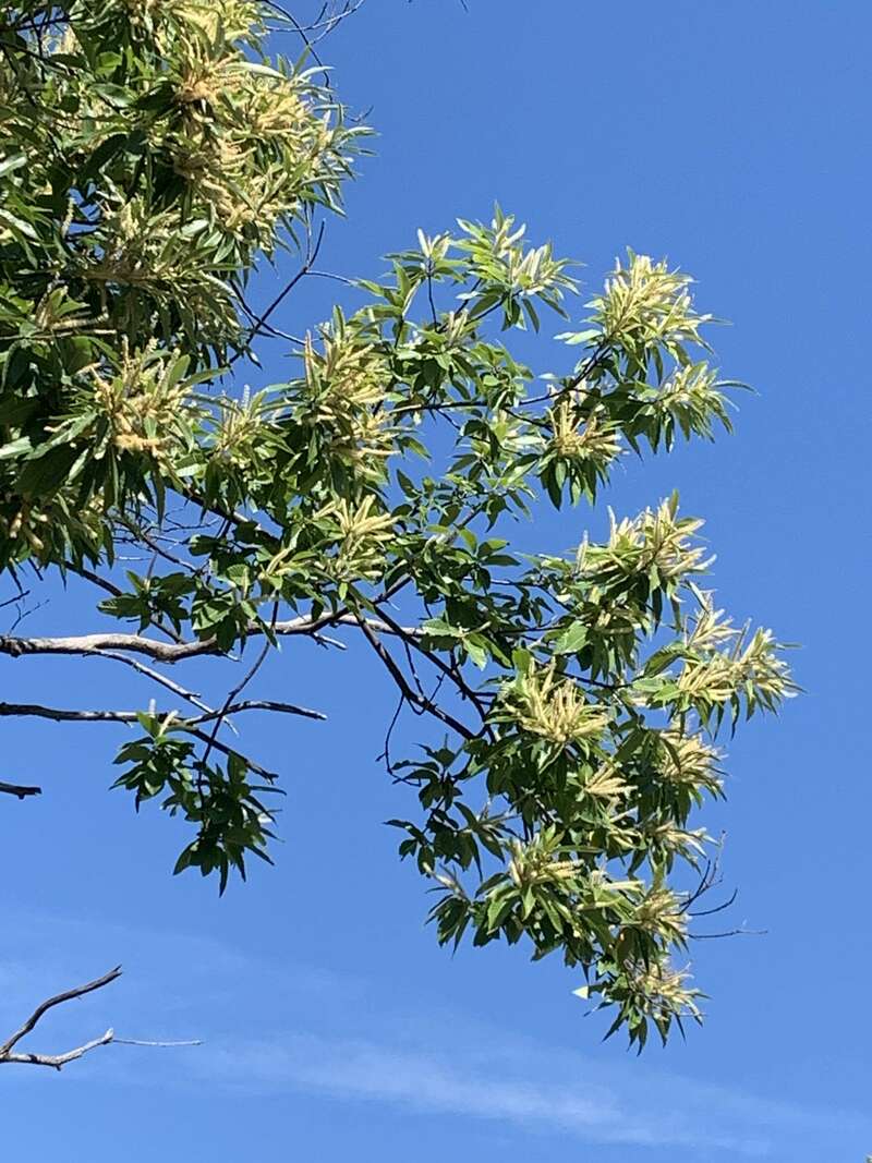 cfbd3473-b2e9-443e-97fe-d55147a2eb94