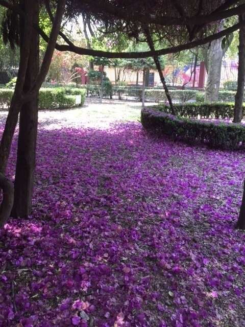 1e98c76a-c4f1-4511-b6fc-5147a2409155_1_105_c