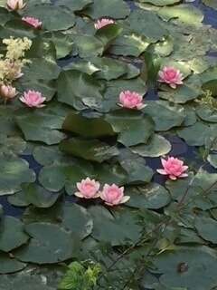 a5a83be1-e510-4253-95d6-5fd086c152e2_4_5005_c