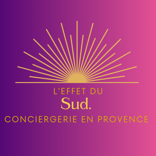 Logo L'Effet du Sud.