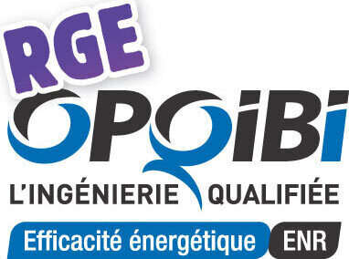 Audit RGE