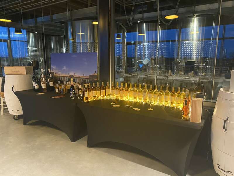 img_314720230417-1377102-bxmqqx