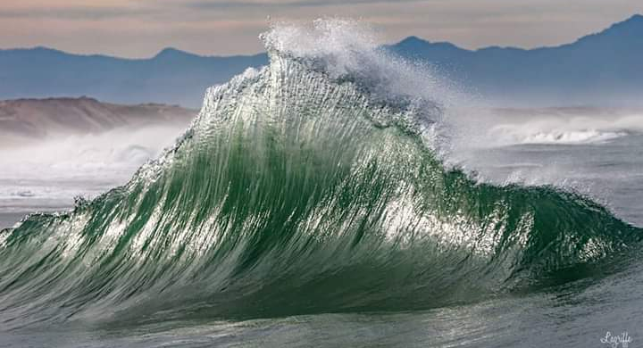 Anne-Laure  Méle-Brémont, naturopathie à Dax