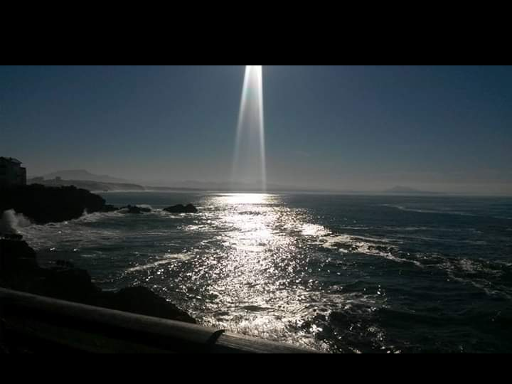 screenshot_20191110-11112420221005-548391-z6ho41