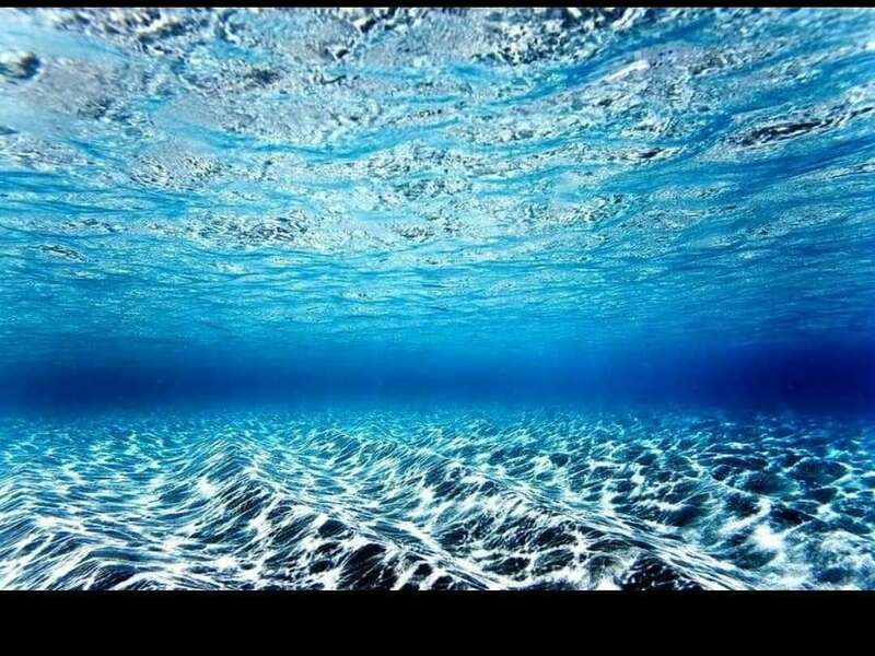 screenshot_20240425-082420_facebook