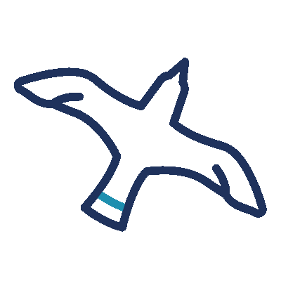 Wired outline 1143 bird from the top out