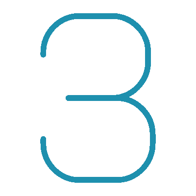 Wired outline 2433 number 3