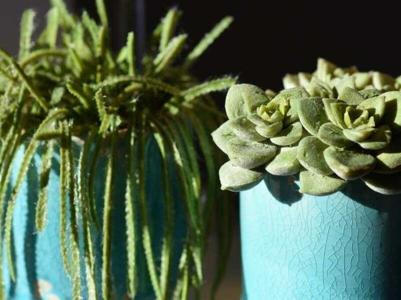 8dnd31xboh_1595863161