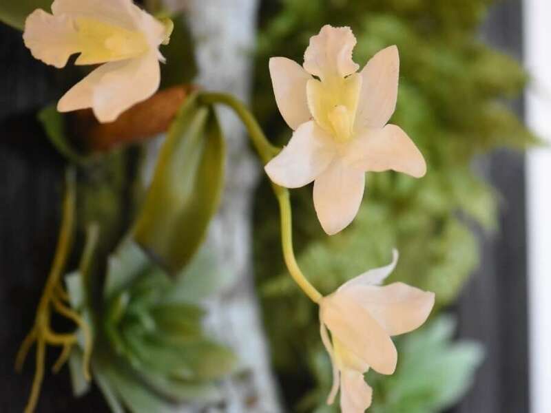 yoitie6wtp_1595863163