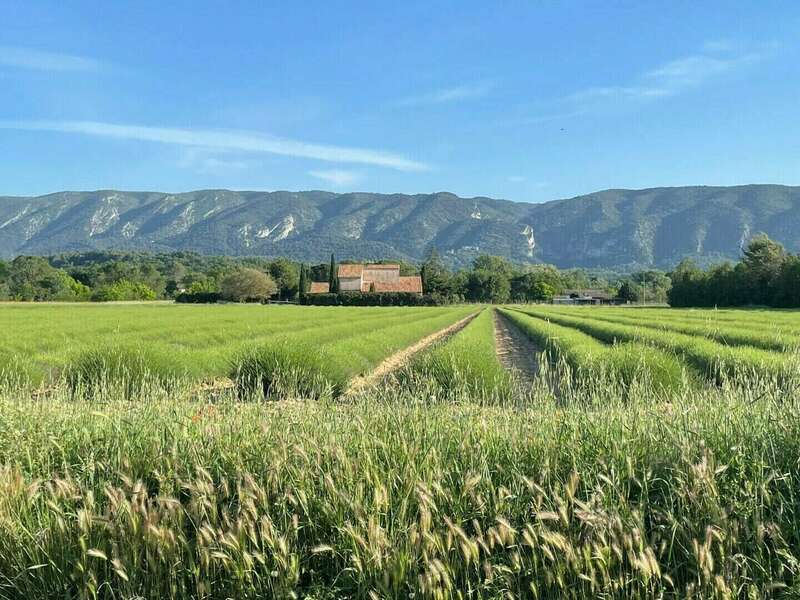 mwndc4lv9d_1652778160