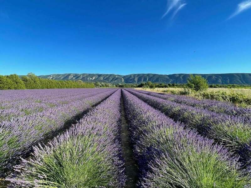 dhpi7vnxxv_1624623562