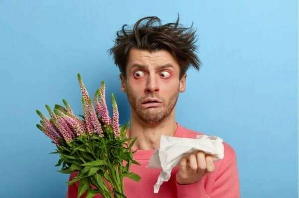 Allergies saisonnières aux pollens, graminées et autres arbres... 