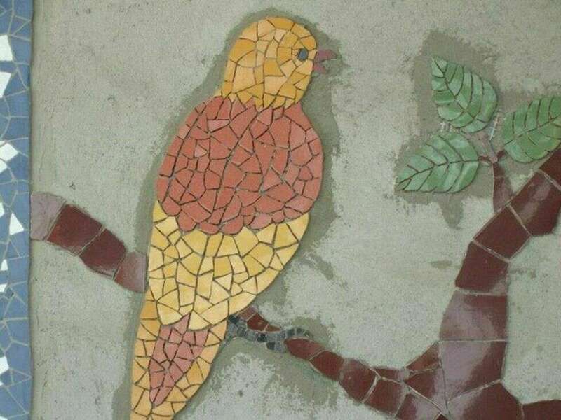 4_d_tail_mur_mosa_que_oiseau