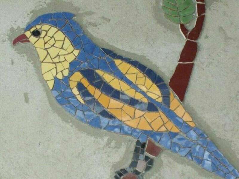 5_d_tail_mur_mosa_que_oiseaux