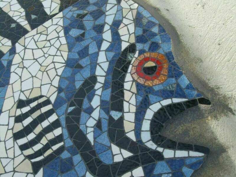 poisson_piscine__maux_briare_2