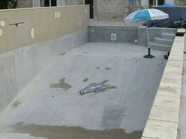 poisson_piscine__maux_briare_3