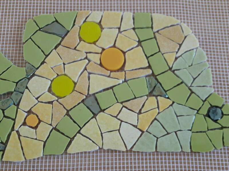 poisson_piscine__maux_briare_7