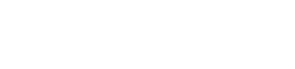 Logo ADAN PARTNERS