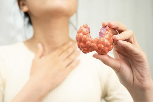 perturbateurs endocriniens santé naturel cuisine