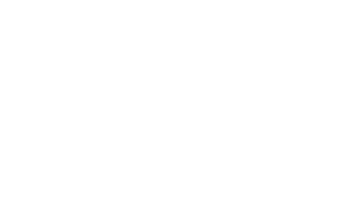Logo A.C.F.L. ELEC