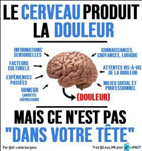 La douleur chronique