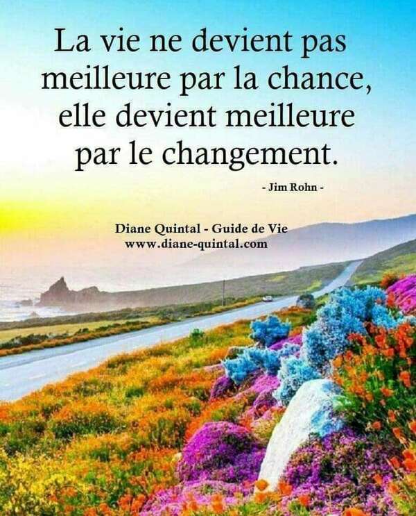  LE BIAIS D'ATTRIBUTION KESAKO? 