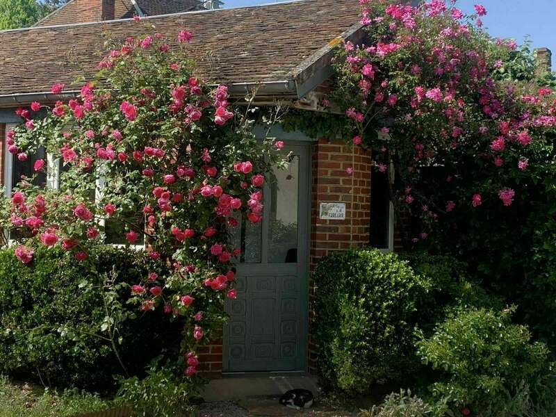 350105983_122714914160708_6852744564977399688_n