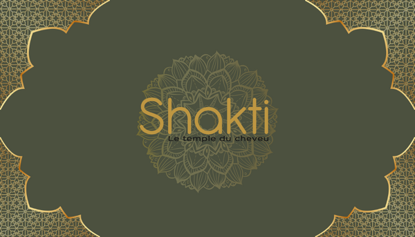 Logo Shakti le temple du cheveu