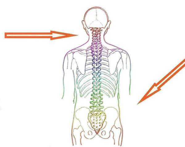 hernie discale ostéopathe à Cap d'ail et monaco