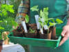 Entretien d'espaces verts