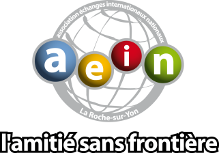 Logo AEIN