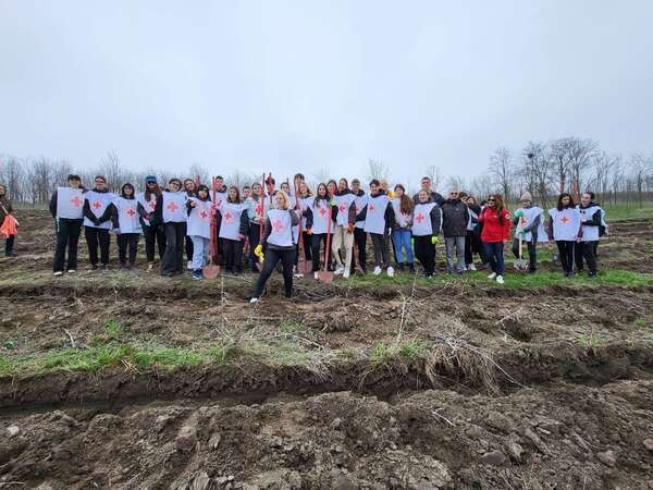 3 jours à Costache-Negri, Roumanie