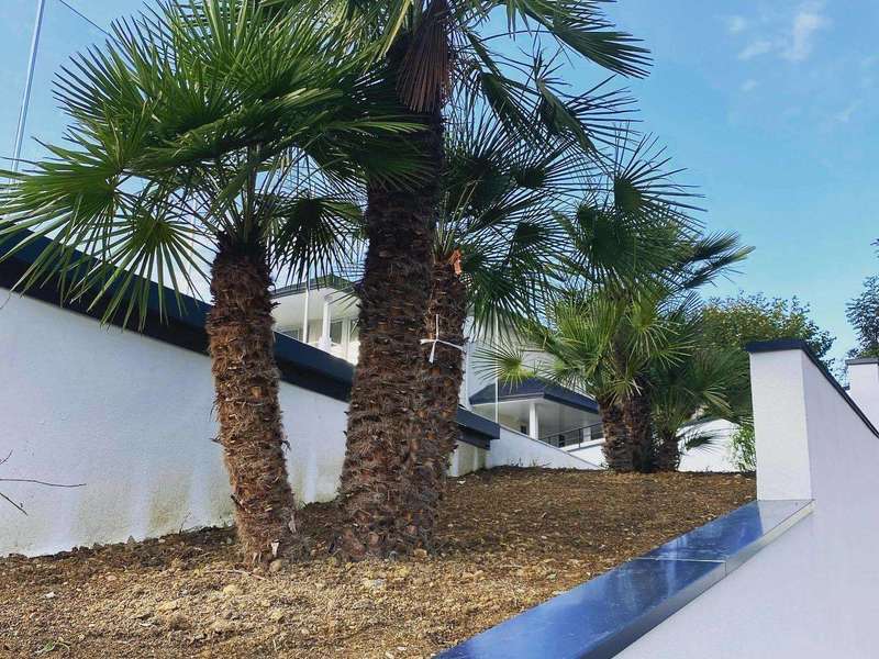 121814769_161062382318546_4454805365461446528_o