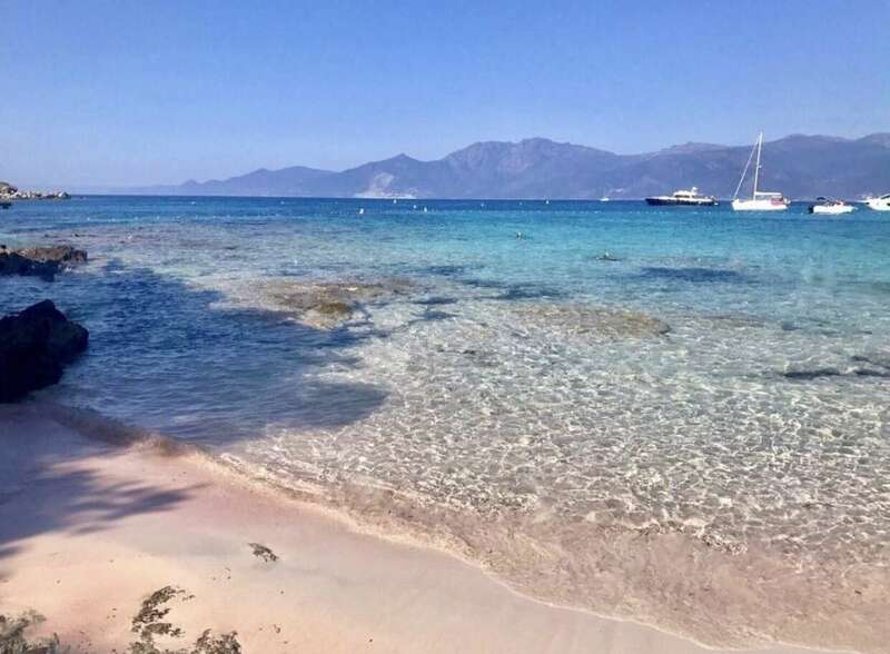 a2b319b3-6a46-4643-b3cc-5180612b3256